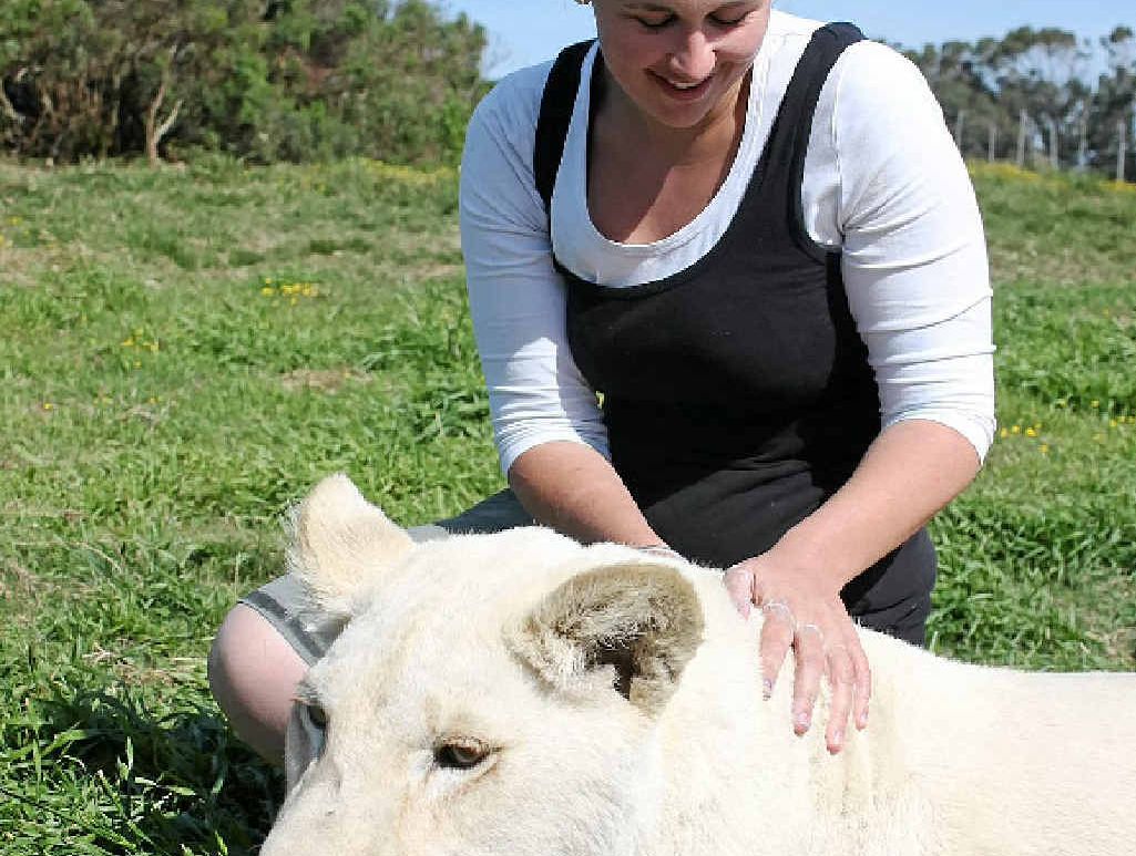 Libby shares a quiet moment with Skyla, the two-year-old white lion. Libby shares a quiet moment with Skyla, the two-year-old white lion.